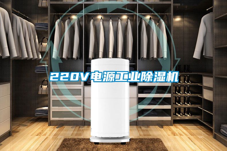 220V電源工業(yè)除濕機